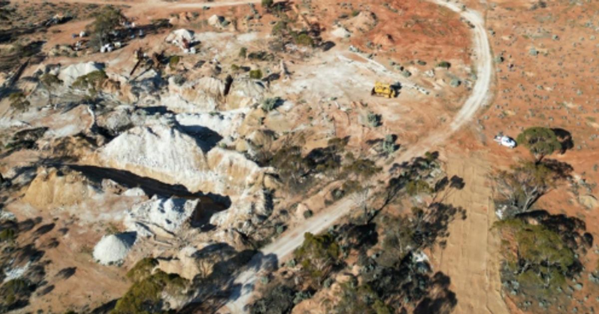 Torque Metals shares surge on move to acquire project near Bald Hill lithium-tantalum mine - Vimarsana News