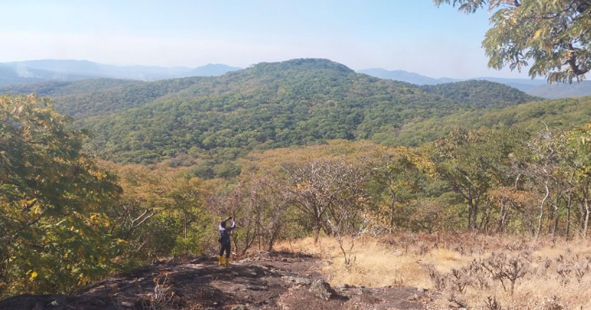 AJN Resources positioned for soaring lithium demand with lucrative DRC deposits - Vimarsana News