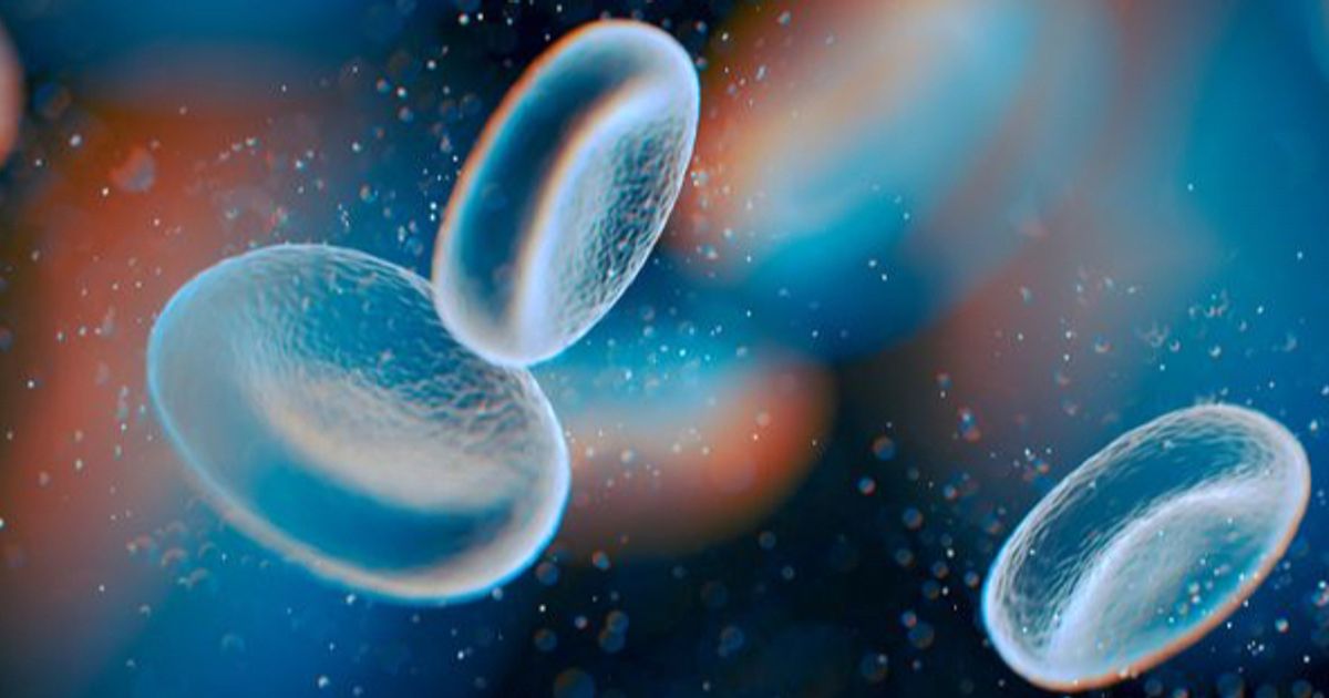 Lobe Sciences announces amendment to Altemia acquisition agreement - Vimarsana News