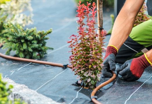 SiteOne Landscape Supply gets a boost from UBS upgrades 