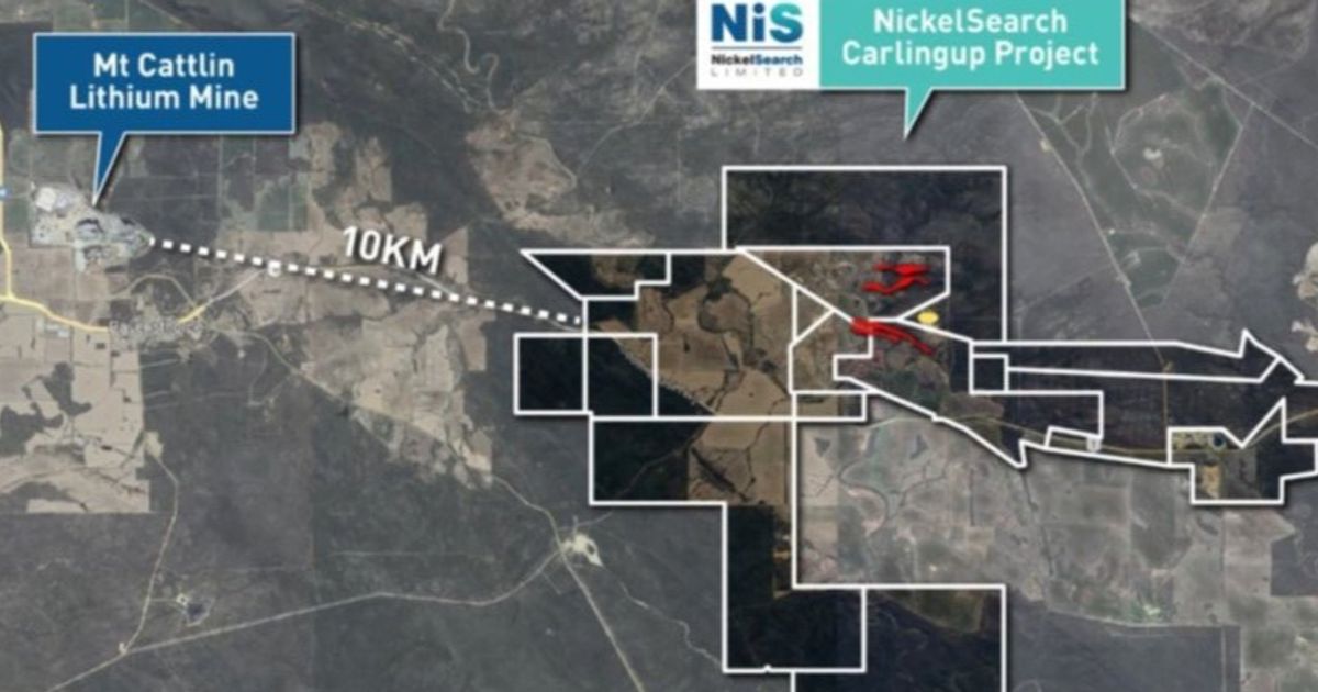 NickelSearch identifies visible spodumene at Carlingup - Vimarsana News