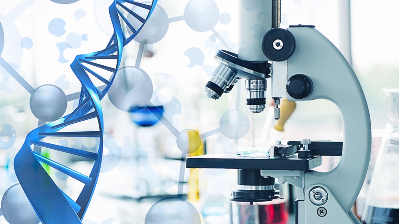 Willow Biosciences Inc - Willow Biosciences Inc. said it has successfully completed research and development on its program to produce ursodeoxycholic acid