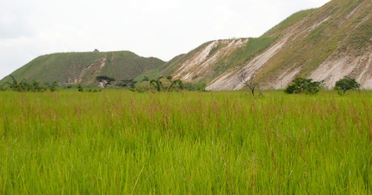 Tantalex Lithium announces offtake agreement with Glencore International AG - Vimarsana News