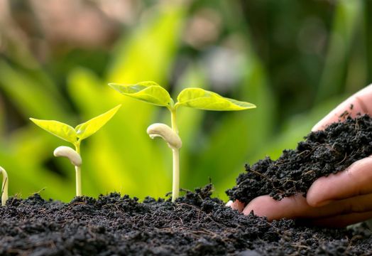 EarthRenew subsidiary Replenish Nutrients announces 7 million dollars in non-dilutive grant