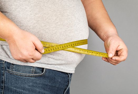 Vice Health and Wellness - Vice Health and Wellness targets global obesity treatment market with Vice Versa AI app
