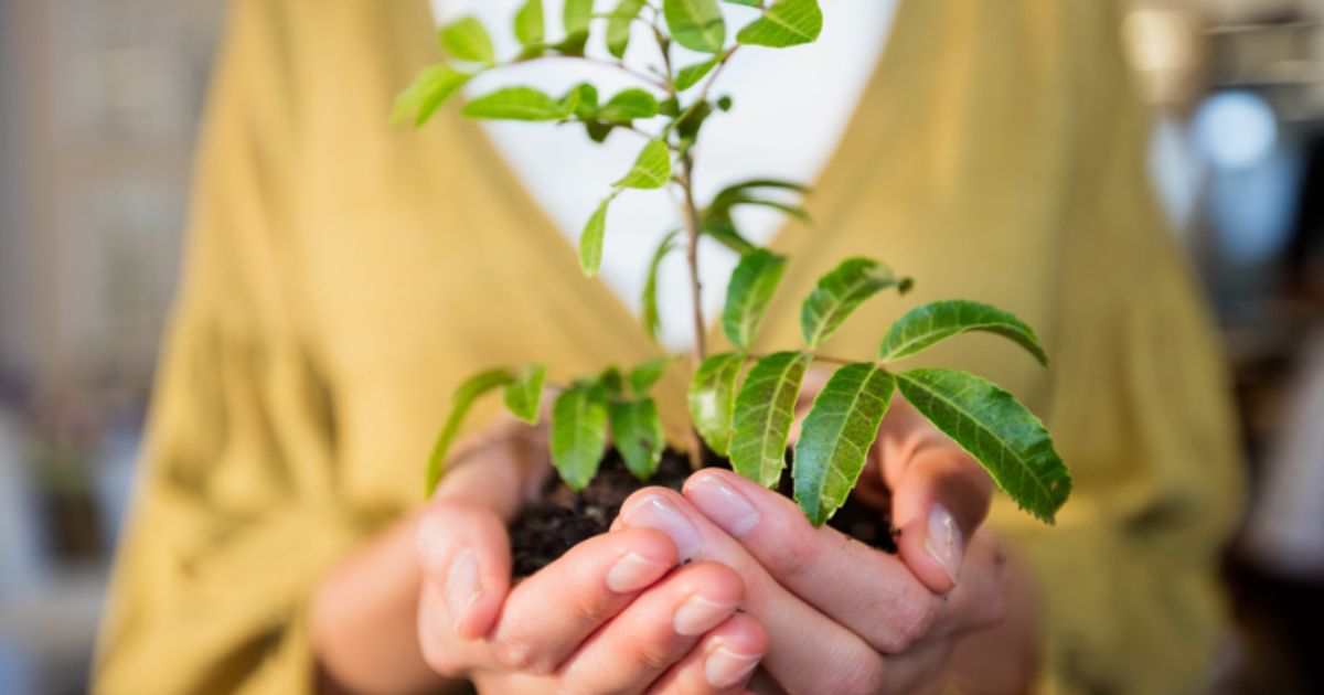 Frontier Energy Ltd embarks on sustainability journey with new ESG initiatives - Vimarsana News