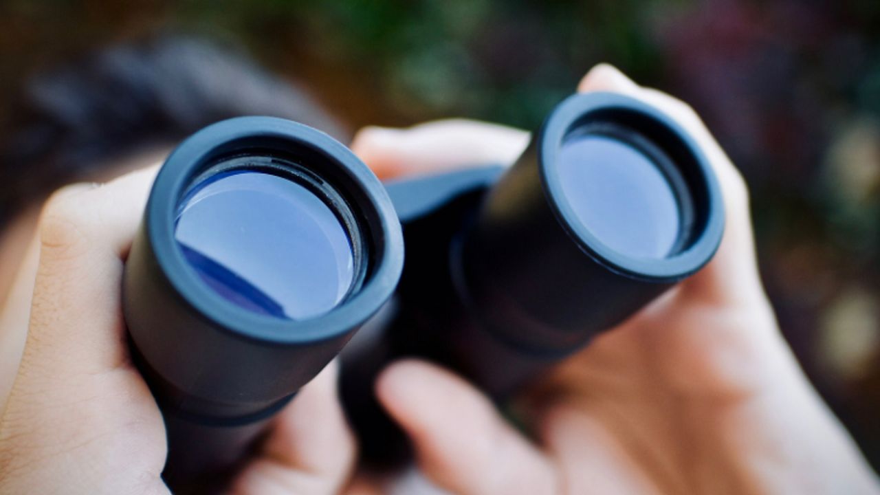 Castillo Copper Begins Hunt For New Drill Targets At Nwq Copper Project