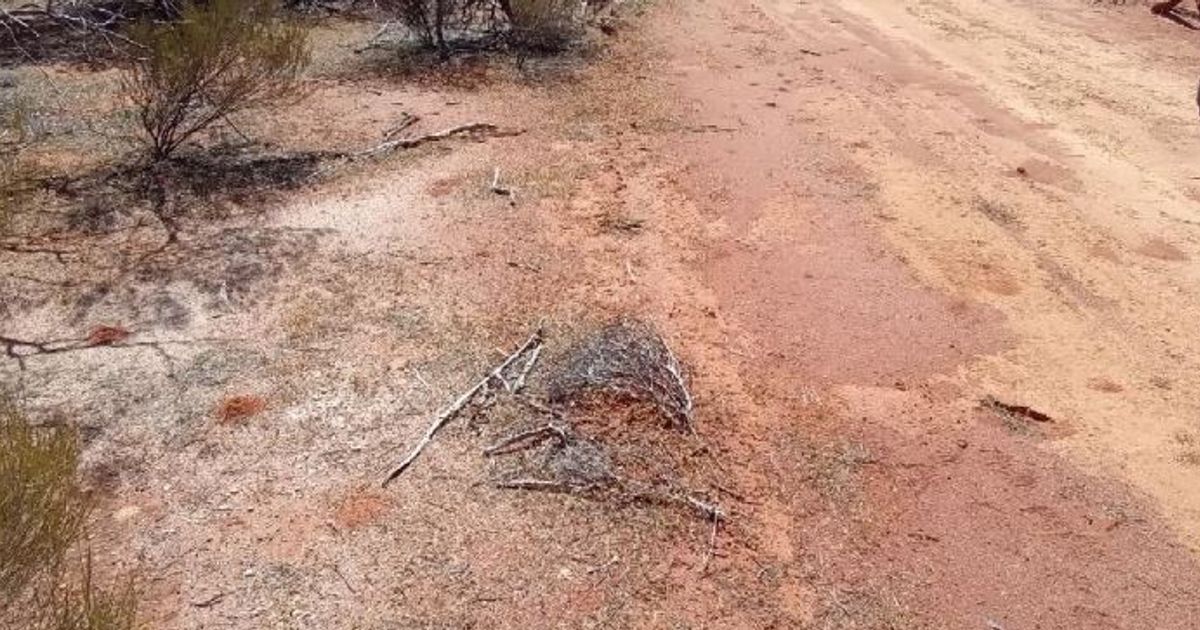 Miramar Resources Ltd kicks-off exploration drilling at Lang Well rare earths target - Vimarsana News