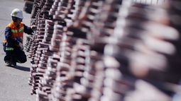 Copper Fox Metals Inc - 