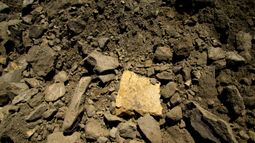 Murchison Minerals Ltd - 