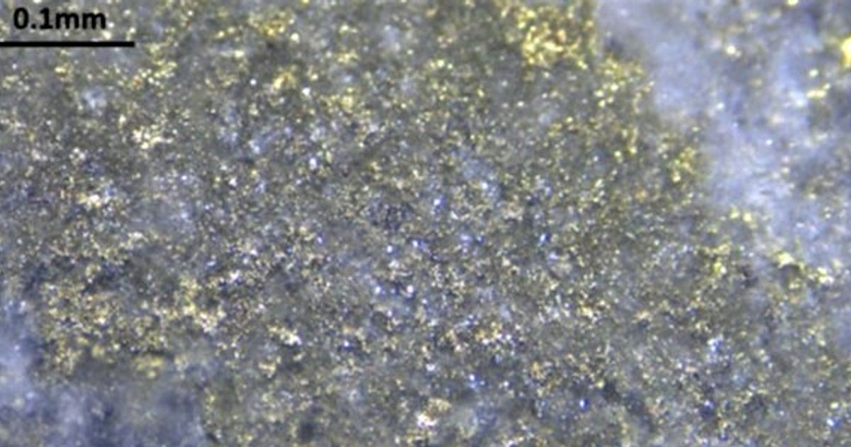 Titan Minerals Ltd fields further surface copper-gold porphyry results at Copper Ridge - Vimarsana News