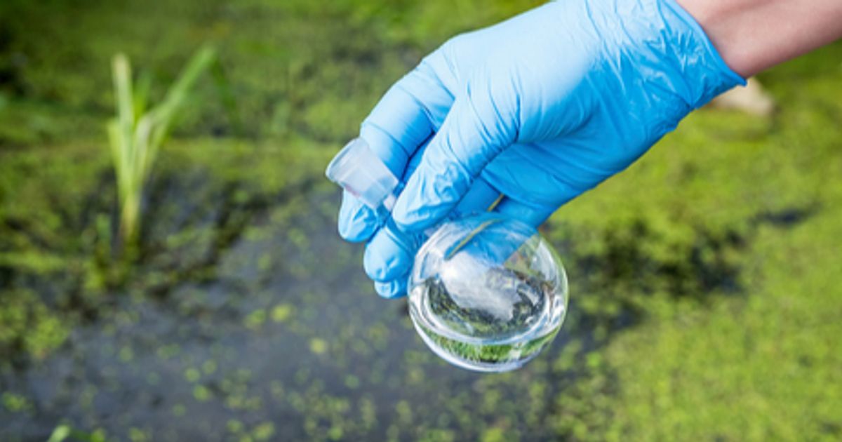 EU ban on forever chemicals would hit microchip production, industry warns