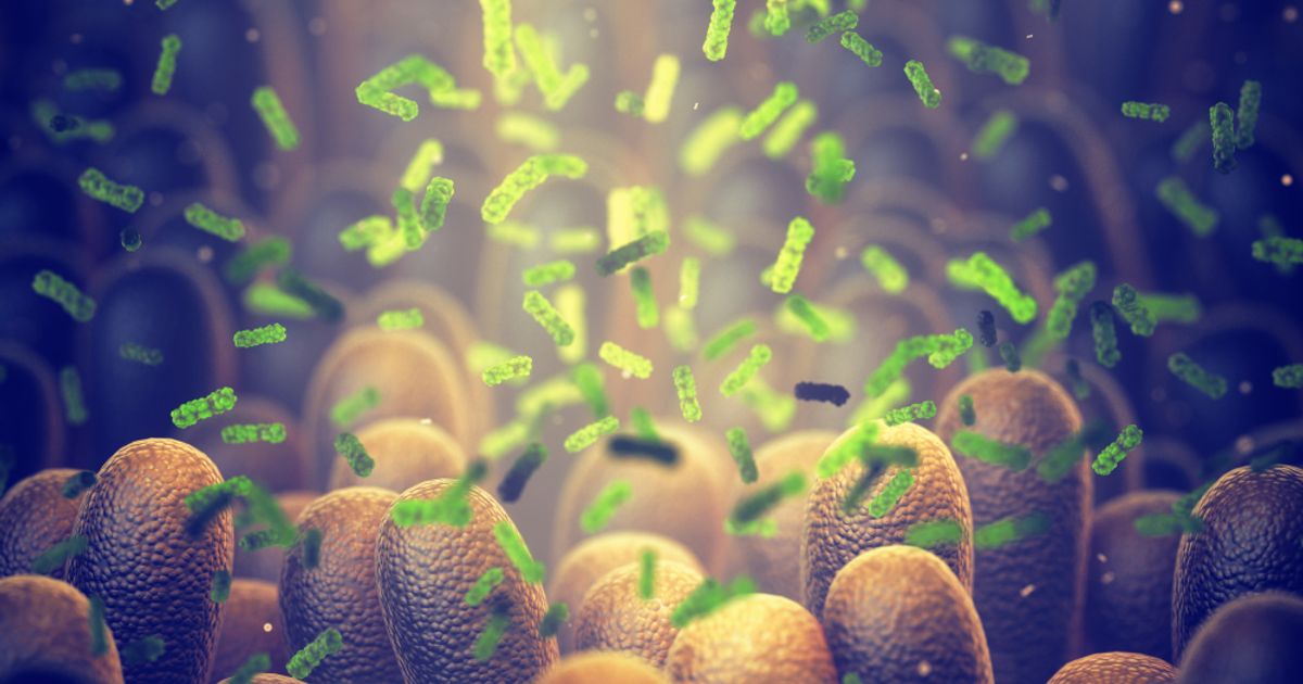 Microba Life Sciences expects microbiome testing "to be routine" - Vimarsana News