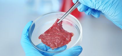 After unveiling the first full-scale lab-grown meat fillet, BSF Enterprise jumps