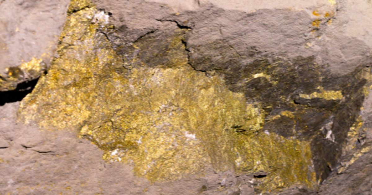 Troilus Gold Corp says latest assays confirm potential to raise grade profile of Zone X22 at Troilus project in Quebec - Vimarsana News