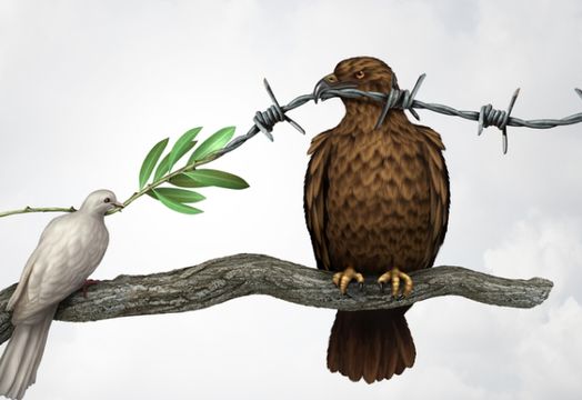 hawk and dove
