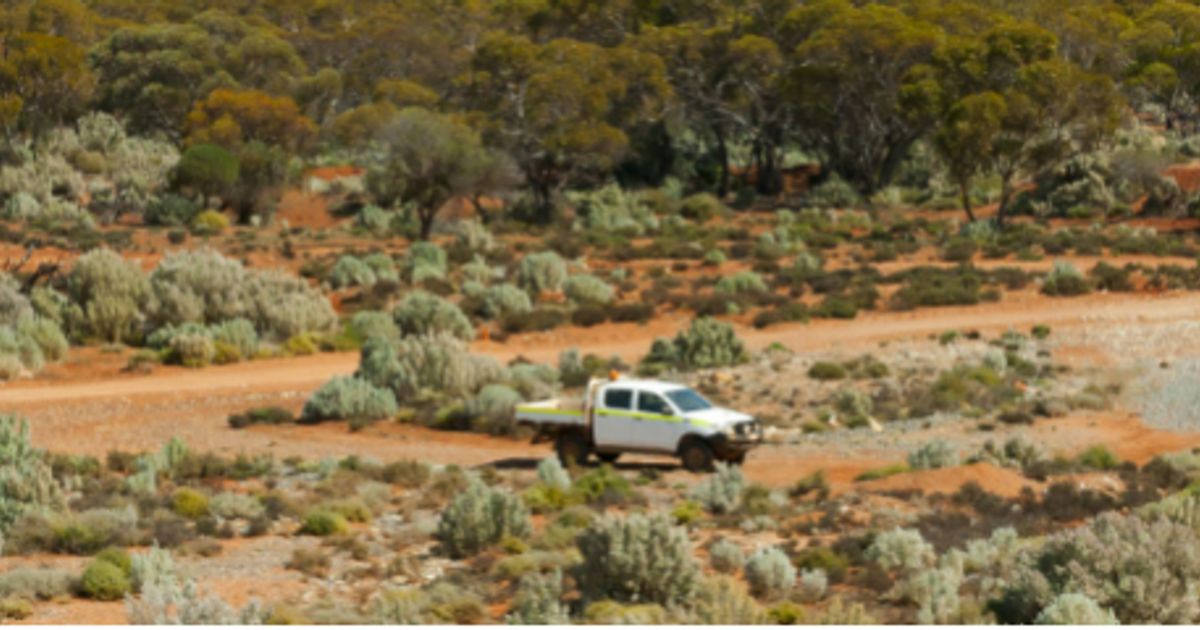 Yandal Resources Ltd to accelerate WA gold growth with key appointments - Vimarsana News