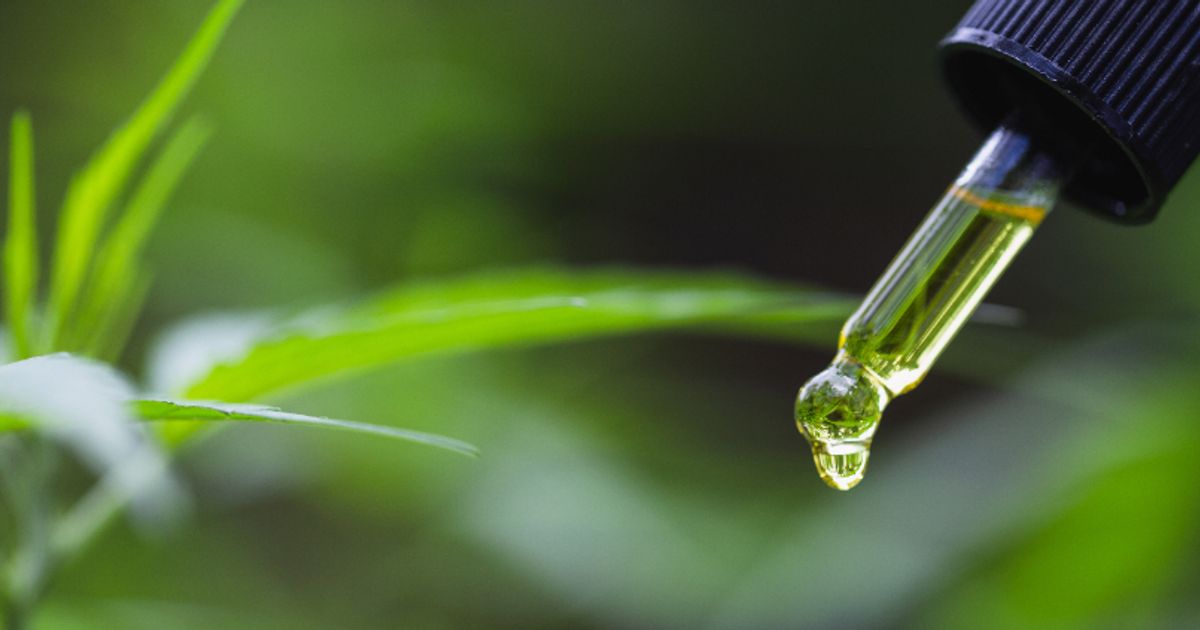 1606 Corp is rapidly expanding its portfolio of revenue generating CBD products - Vimarsana News