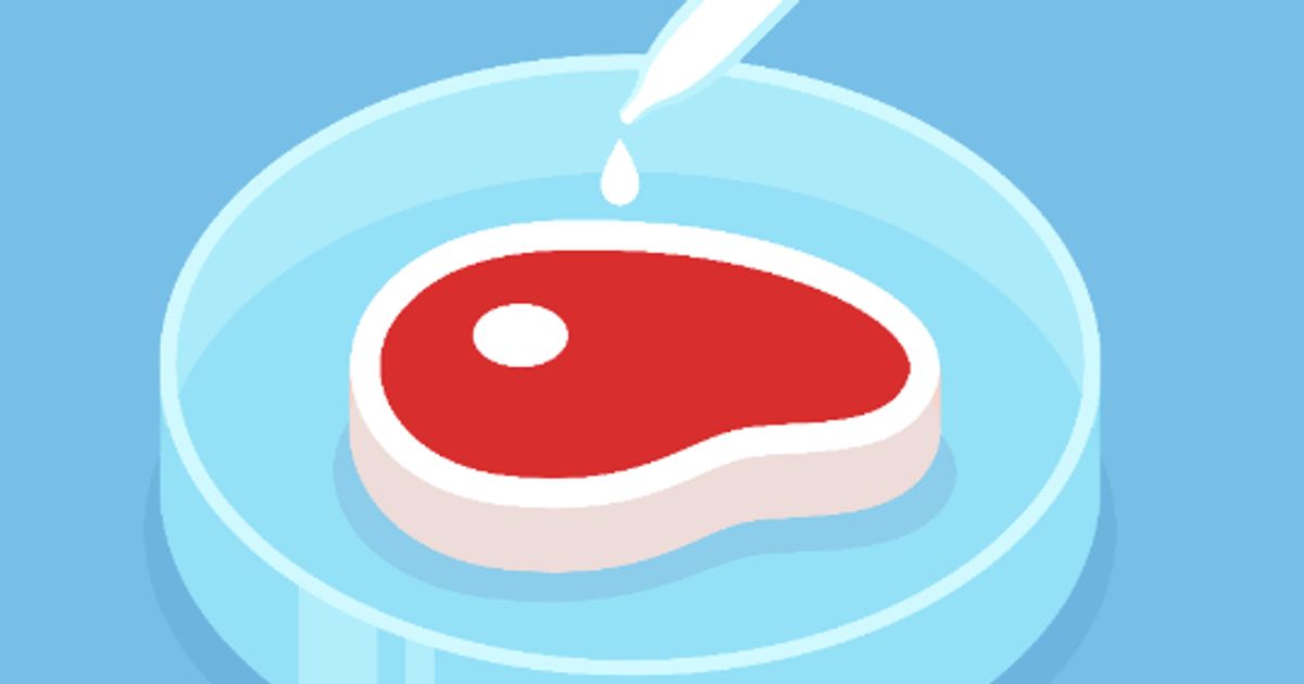 BSF Enterprise indicates their subsidiary is producing cultivated meat as planned.