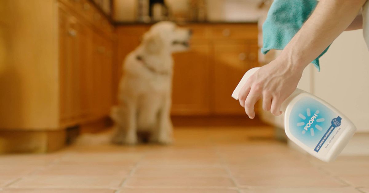 BioLargo shares how Pooph petodor control product has driven record