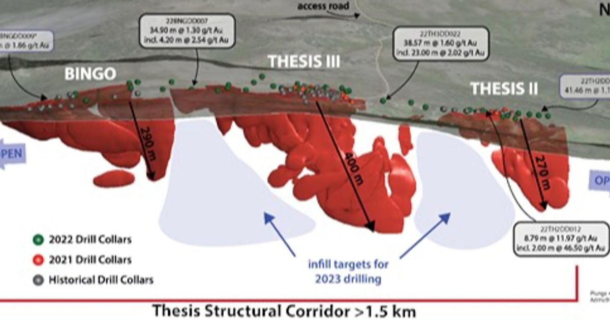 Thesis Gold says latest assays from Ranch Gold Project show gold ...