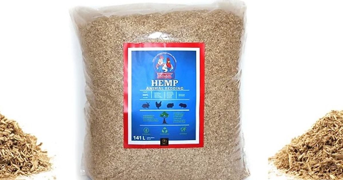 Generation Hemp Inc changes name to Evergreen Sustainable Enterprises Inc from today - Vimarsana News