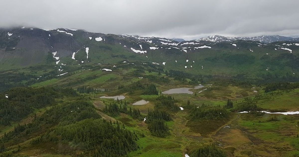 Eskay Mining shares new geophysical Interpretation of data at Eskay Project - Vimarsana News