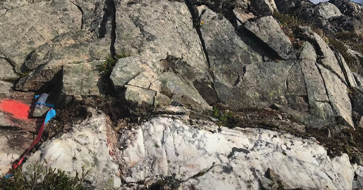 Sassy Gold Corp says it has drilled into a new high-grade vein parallel to 4Amigos at the company's Westmore Gold Discovery - Vimarsana News