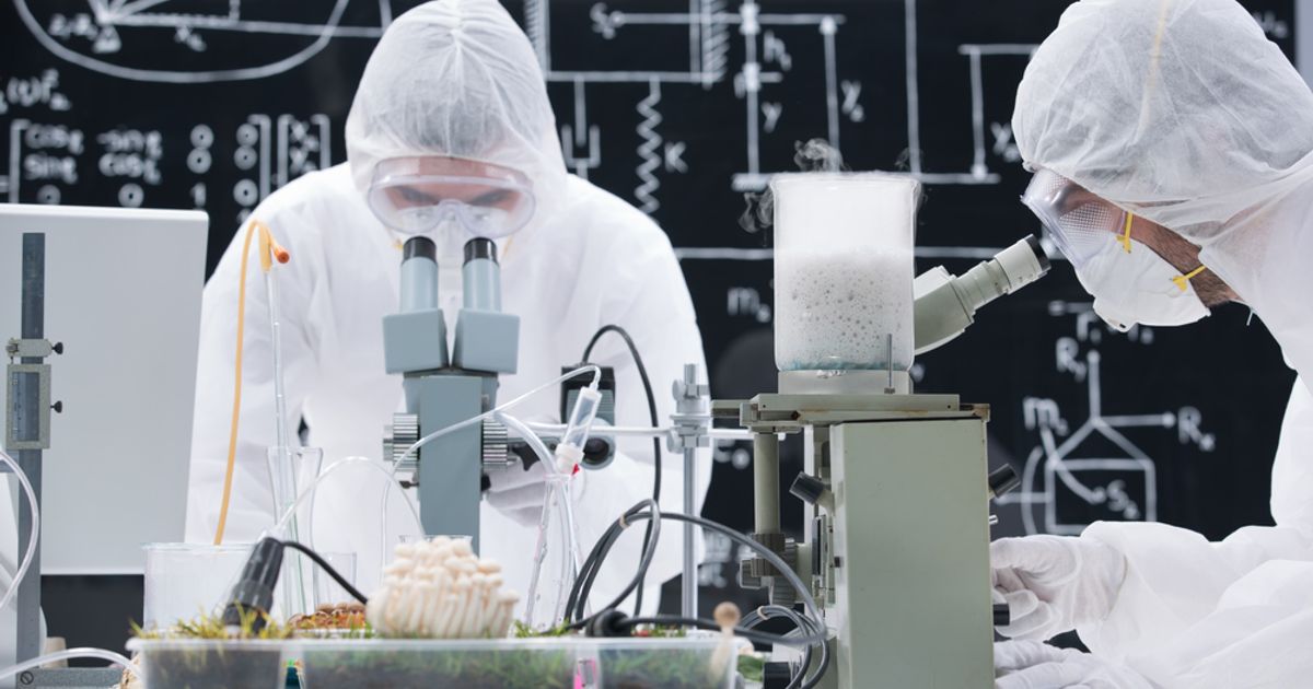 Lucy Scientific Discovery signs definitive agreement to acquire Wesana Health - Vimarsana News