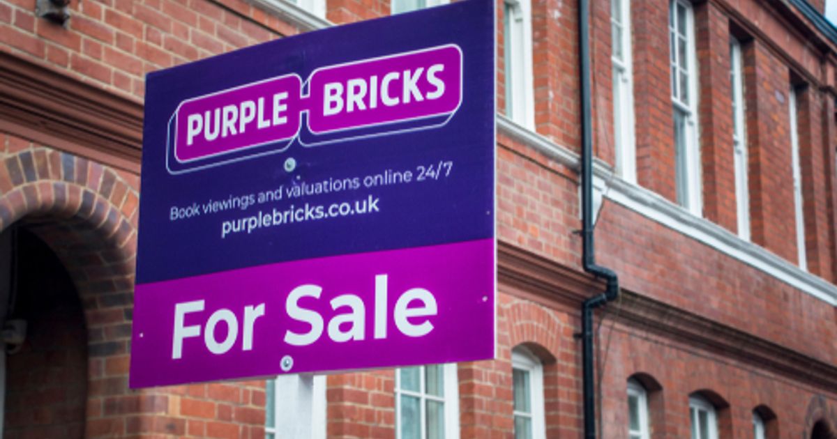 Purplebricks launches formal takeover process AIMPURP