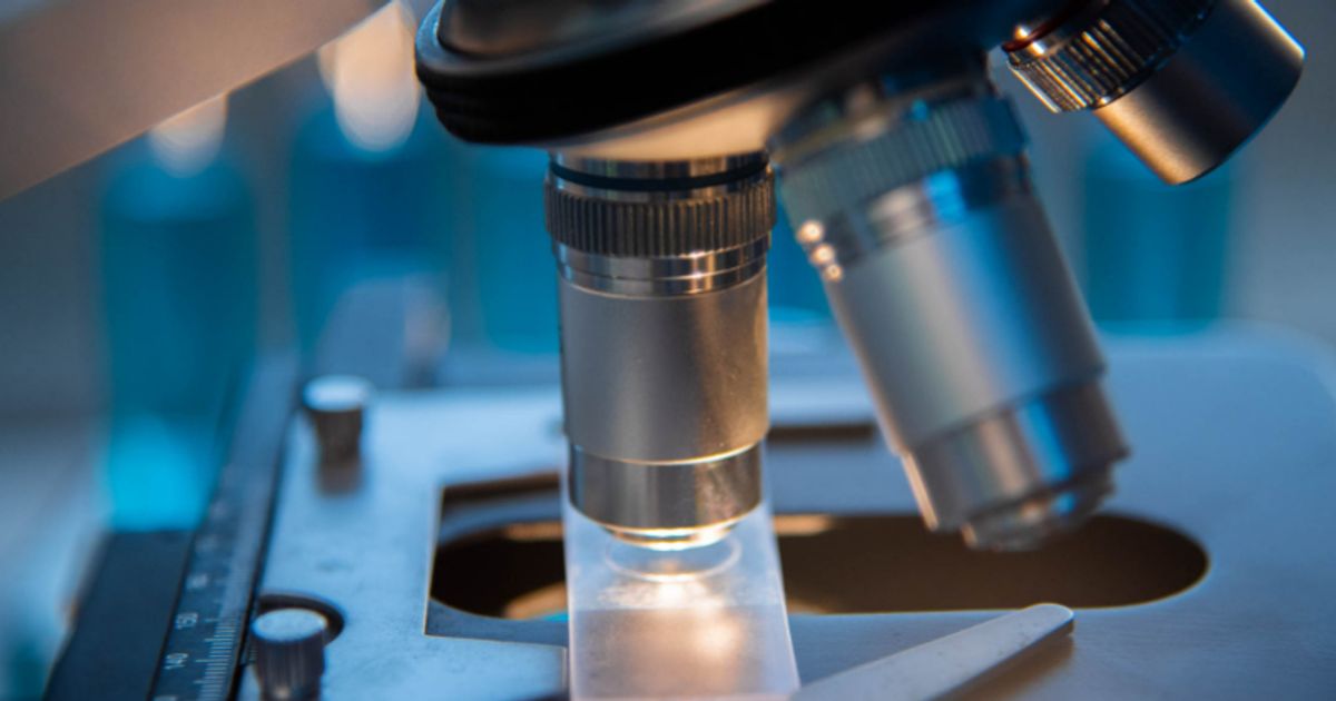 Scancell makes strong progress with lead immunotherapy assets - Vimarsana News