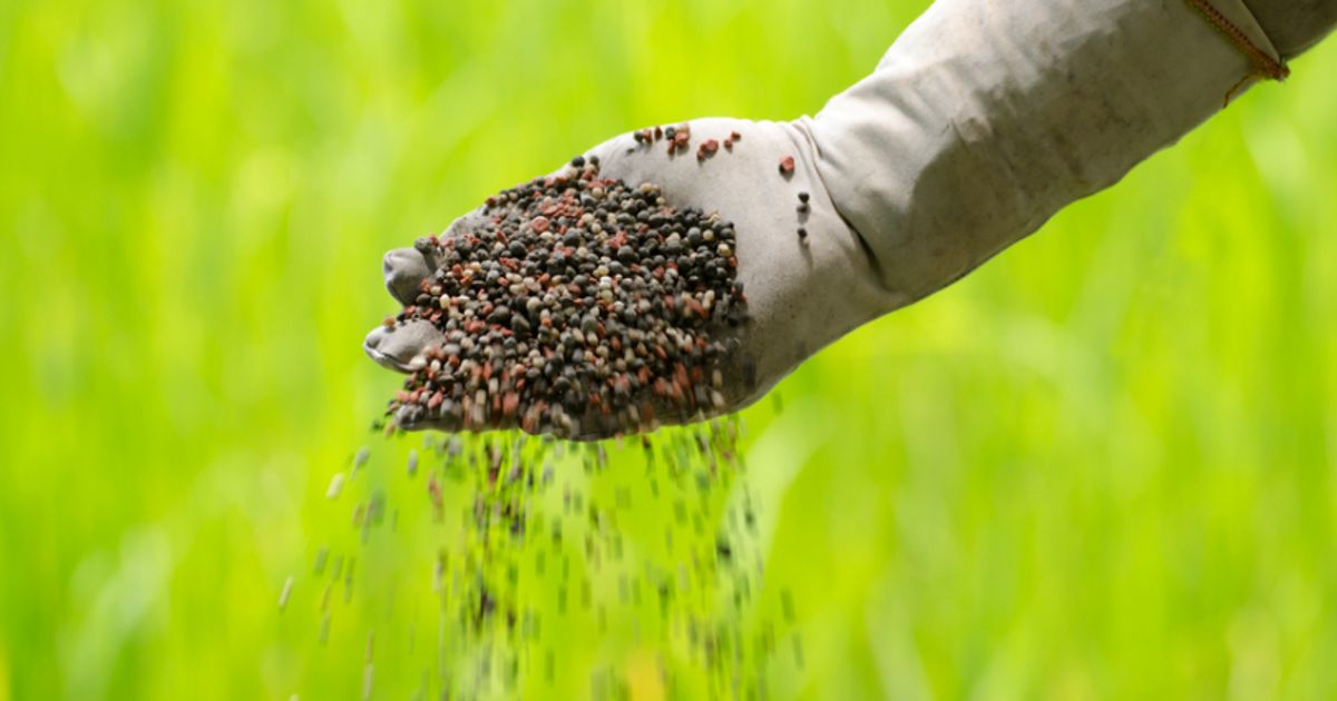 Harvest Minerals orders rise but trading still a challenge - Vimarsana News