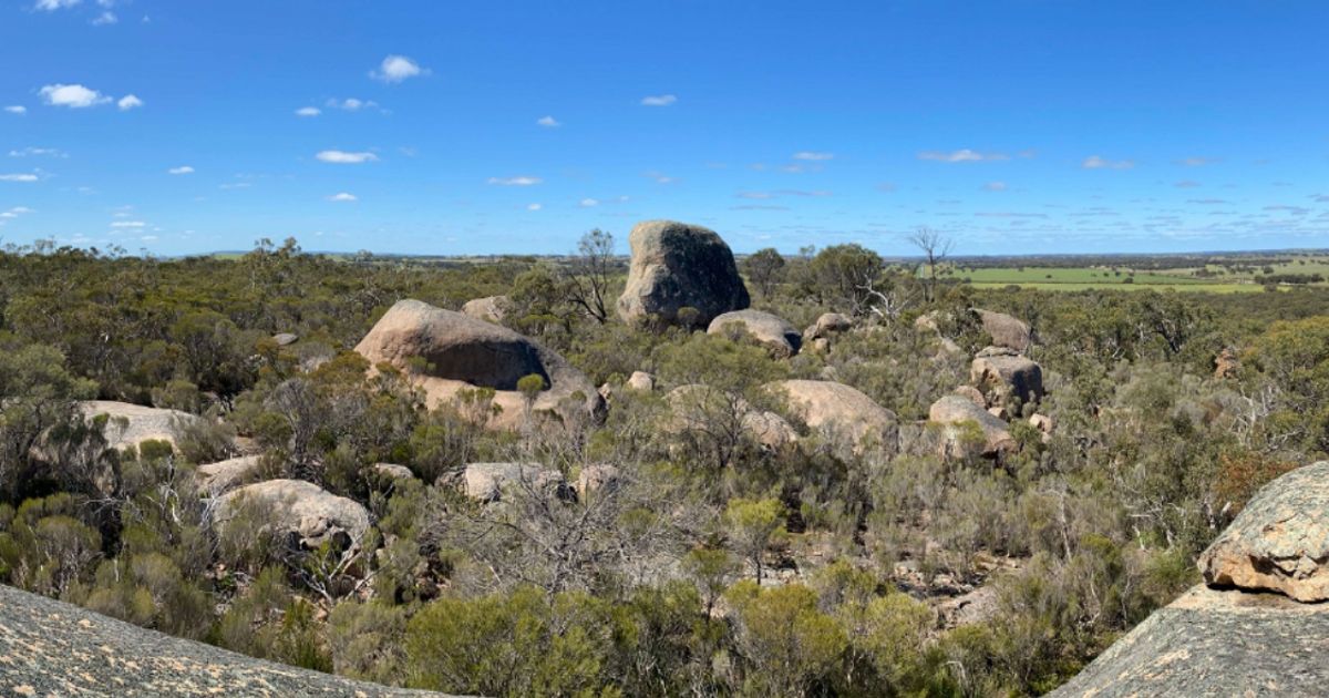 Lanthanein Resources applies for new tenement at Murraydium rare earth element project after significant assays - Vimarsana News