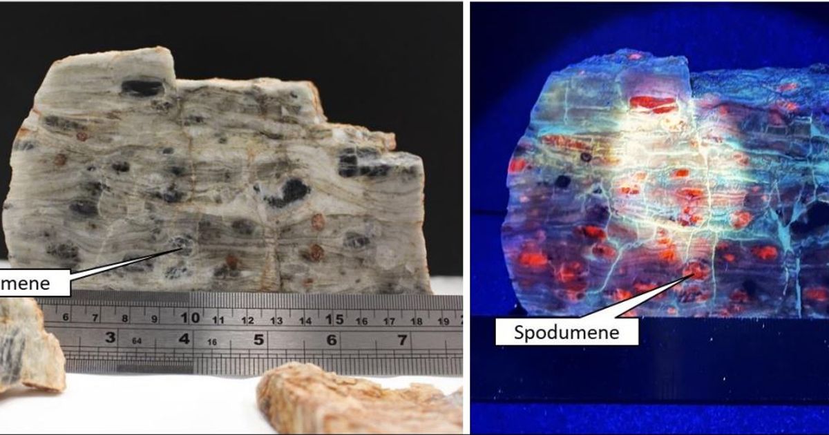 Accelerate Resources actions "transformational" lithium project acquisition - Vimarsana News