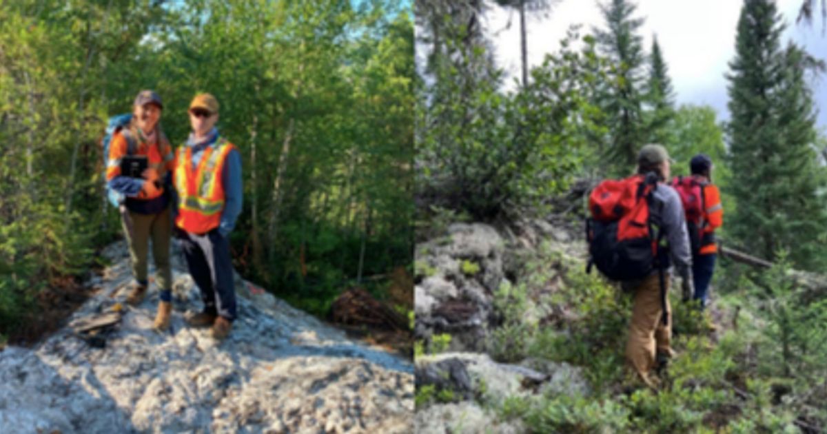 Green Technology Metals reveals new LCT pegmatites at Junior in Ontario - Vimarsana News