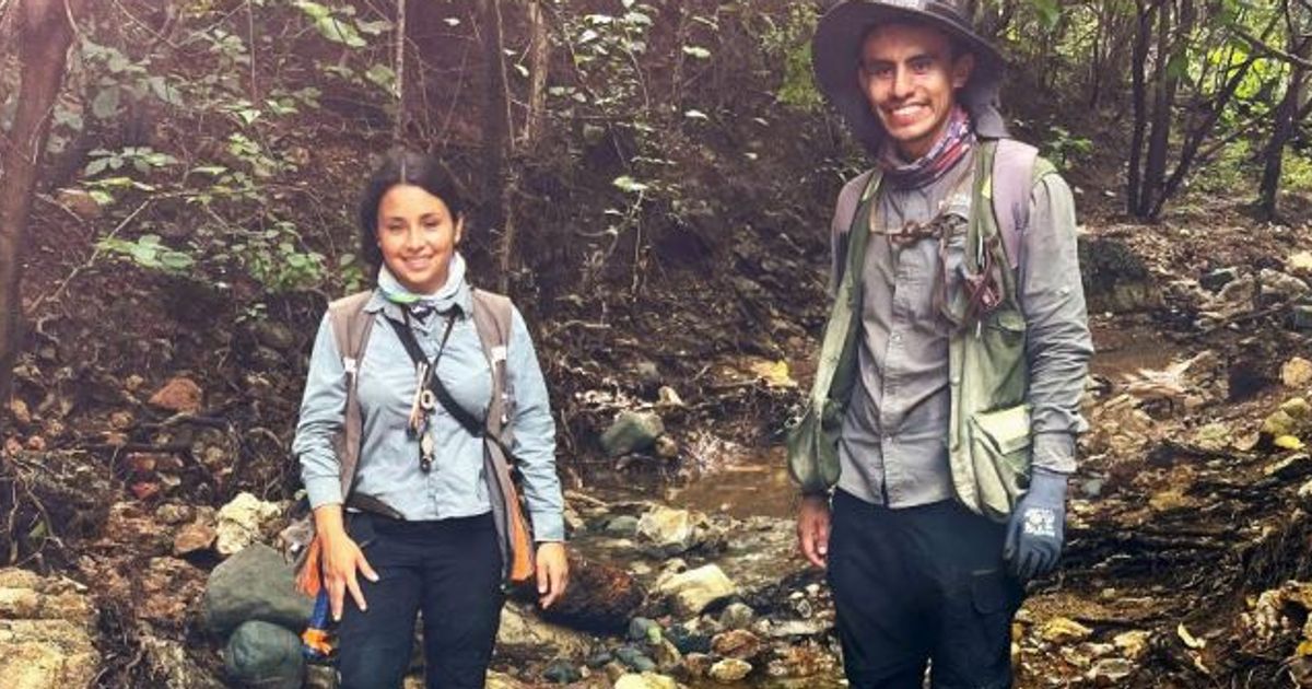 Titan Minerals unveils potential for larger porphyry system with new 2-kilometre IP anomaly at Linderos Copper-Gold Project, Ecuador - Vimarsana News