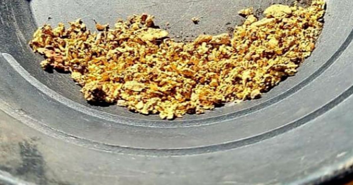 Gateway Mining sees potential for multi-million-ounce gold system at Montague - Vimarsana News