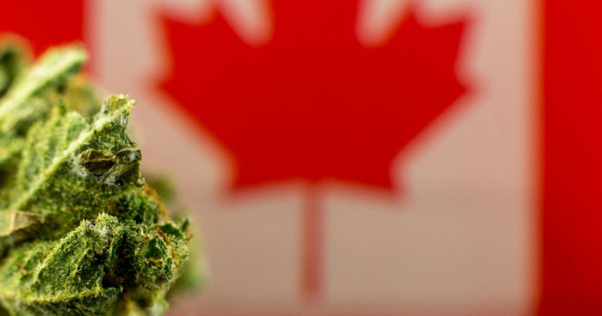 Cannabis stocks struggle as Canada marks five years of legalization - Vimarsana News