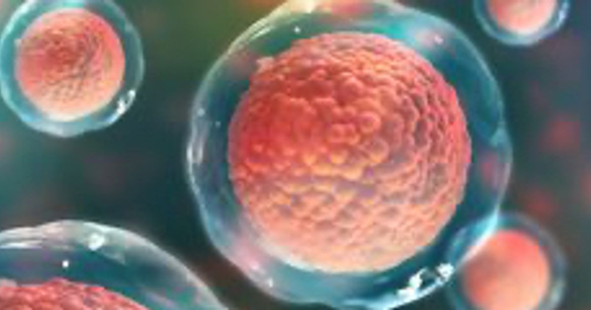 Noxopharm talks partnership with Hudson Institute of Medical Research - Vimarsana News