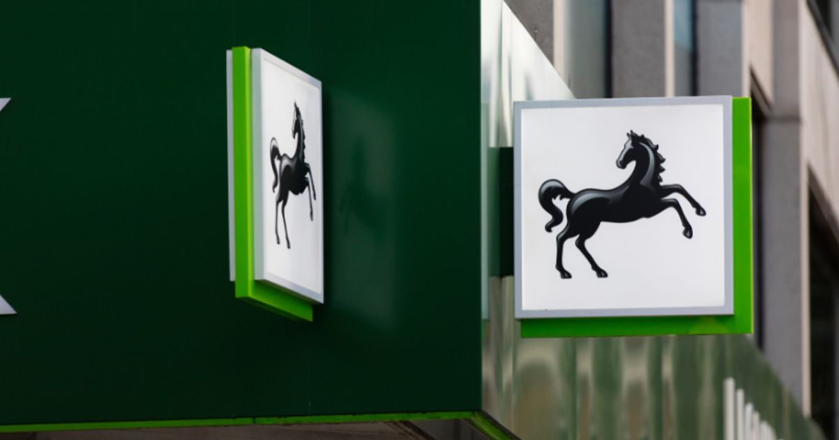 Lloyds, Asos, Meta, IBM and more: Day Ahead on Wednesday - Vimarsana News