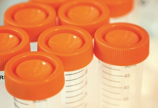 GSK PLC test tubes