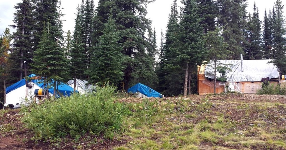 Doubleview Gold Corp shares key results from drilling at Buck Zone on Hat Project - Vimarsana News