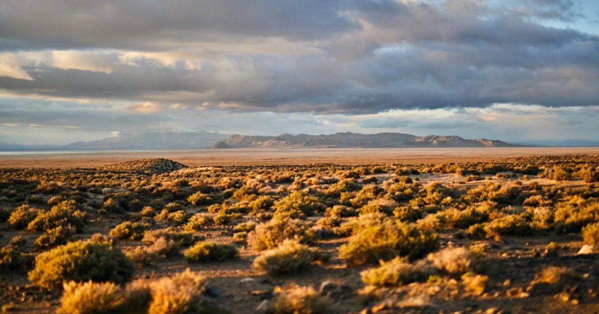 Grid Battery Metals CEO Reveals Exciting Lithium Exploration Opportunities in Nevada - Vimarsana News
