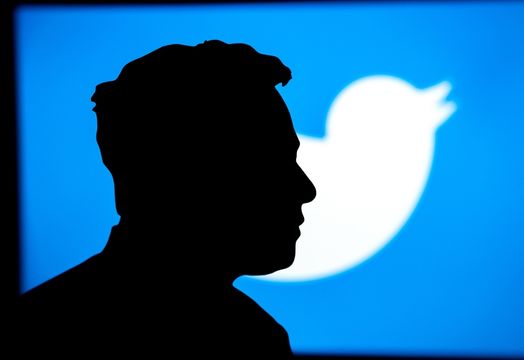 Elon Musk's shadow and Twitter logo