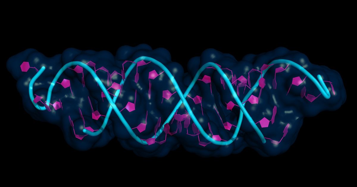 Noxopharm SOF-VAC asset 'markedly' reduces mRNA vaccine-related inflammation, study shows - Vimarsana News