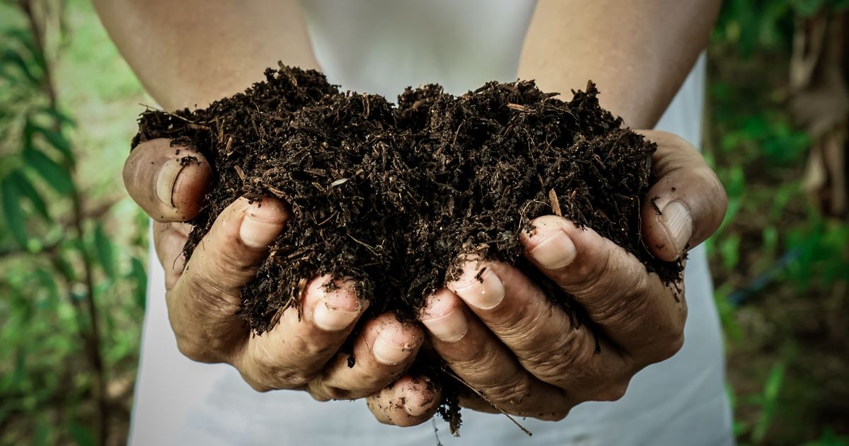 MustGrow Biologics announces Terrasante fertilizer granted USDA organic approval - Vimarsana News