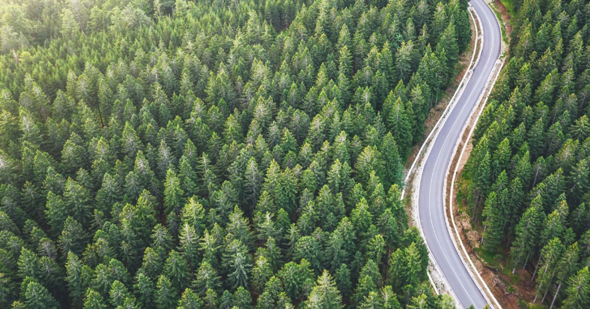 SSV Capital "has embedded environmental values into its core strategies" - Vimarsana News