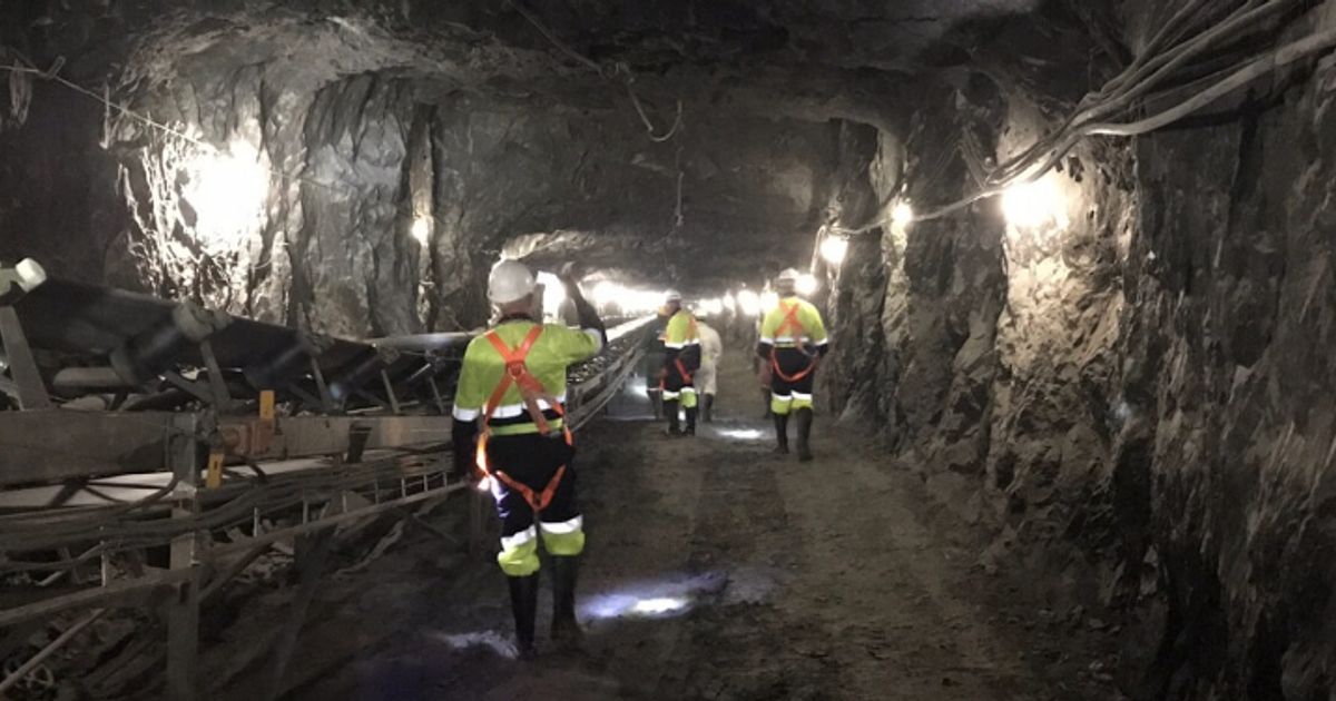 Caledonia Mining COO to step down next year - Vimarsana News