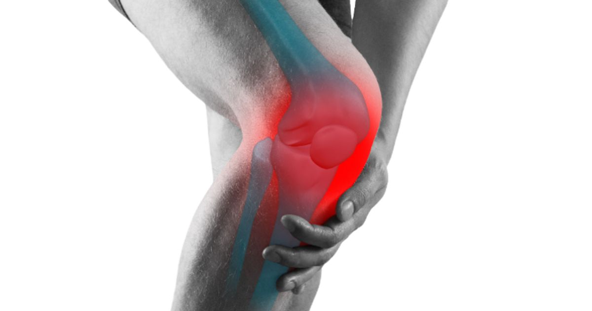 ChitogenX demonstrates ORTHO-R efficacy, osteoarthritis protection in large animal meniscal repair study - Vimarsana News