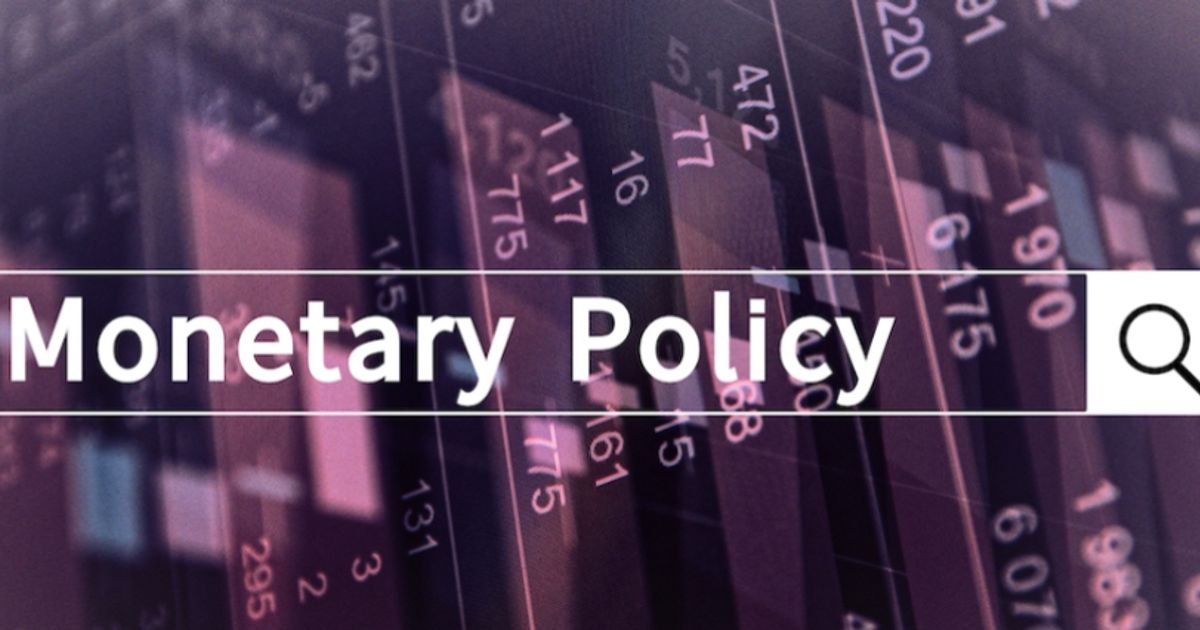 Fiscal vs an investor’s guide to understanding the complex tapestry of economic policy